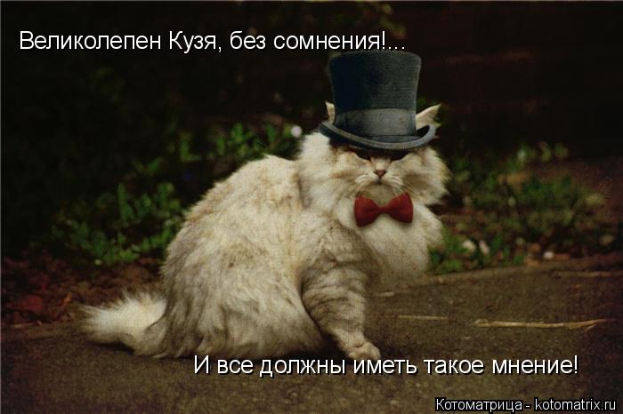Великолепен Кузя, без сомнения!... И все должны иметь такое мнение!... Котоматрица: Великолепен Кузя, без сомнения!... И все должны иметь такое мнение!