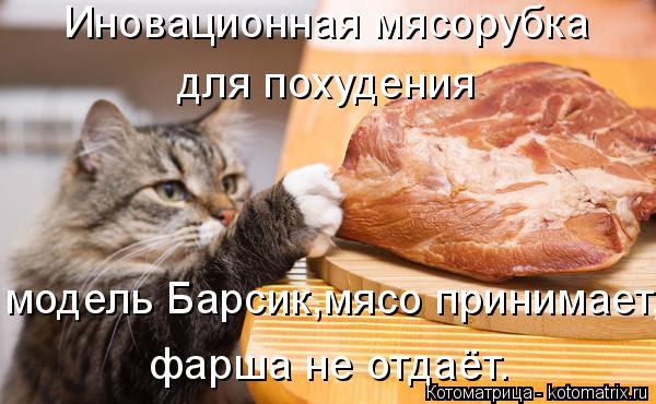 Иновационная мясорубка для похудения модель Барсик,мясо принимает, фарша не отдаёт.... Котоматрица: Иновационная мясорубка для похудения модель Барсик,мясо принимает, фарша не отдаёт.