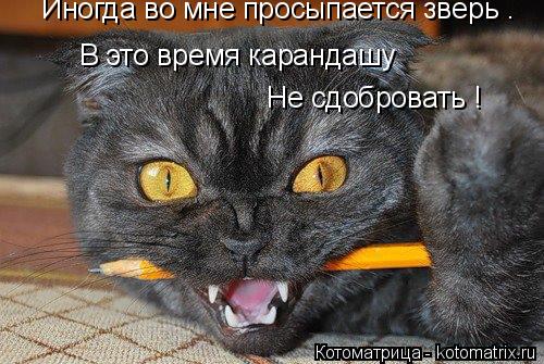 Иногда во мне просыпается зверь . В это время карандашу Не сдобровать !... Котоматрица: Иногда во мне просыпается зверь . В это время карандашу Не сдобровать !