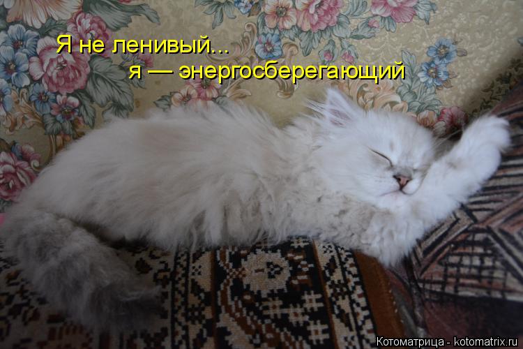 Я не ленивый... я — энергосберегающий... Котоматрица: Я не ленивый... я — энергосберегающий