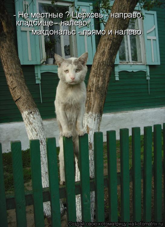 Котоматрица: - Не местные ? Церковь - направо,  кладбище - налево... макдональс - прямо и налево.