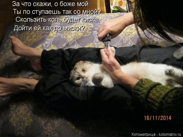 За что скажи, о боже мой Ты по ступаешь так со мной? Скользить коль будет киска, Дойти ей как до миск... Котоматрица: За что скажи, о боже мой Ты по ступаешь так со мной? Скользить коль будет киска, Дойти ей как до миски?
