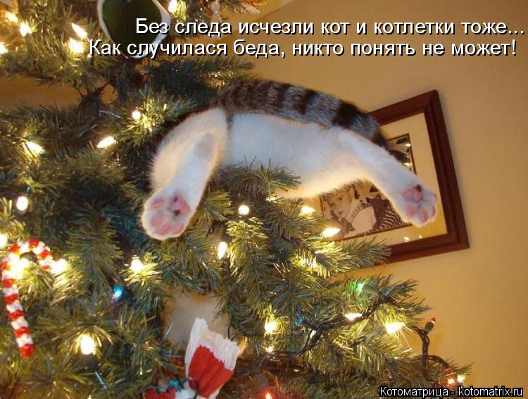 Как случилася беда, никто понять не может! Без следа исчезли кот и котлетки тоже...... Котоматрица: Как случилася беда, никто понять не может! Без следа исчезли кот и котлетки тоже...