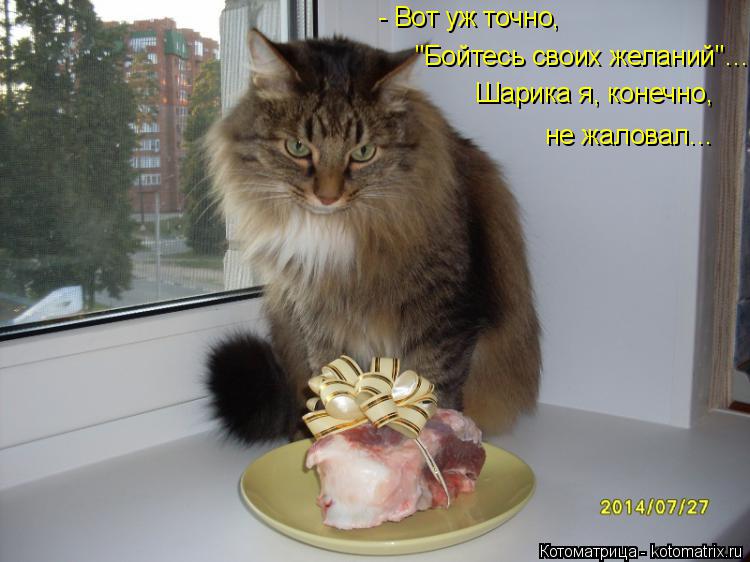 Котоматрица: - Вот уж точно, "Бойтесь своих желаний"… Шарика я, конечно, не жаловал…