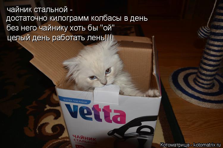 чайник стальной - достаточно килограмм колбасы в день без него чайнику хоть бы "ой" целый день работа... Котоматрица: чайник стальной - достаточно килограмм колбасы в день без него чайнику хоть бы "ой" целый день работать лень!!!