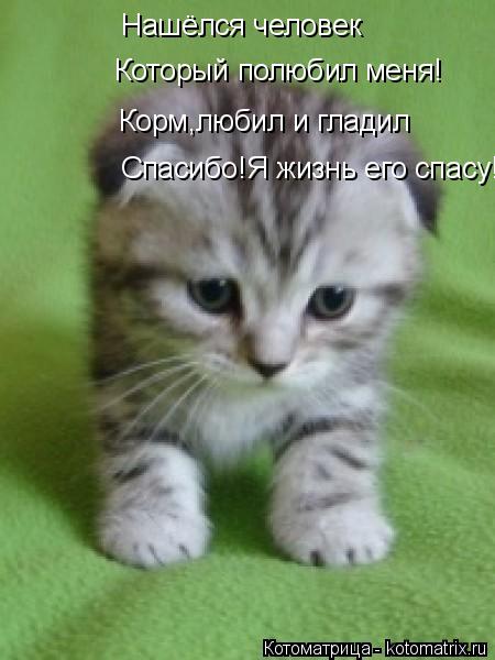 Нашёлся человек Который полюбил меня! Корм,любил и гладил Спасибо!Я жизнь его спасу!... Котоматрица: Нашёлся человек Который полюбил меня! Корм,любил и гладил Спасибо!Я жизнь его спасу!