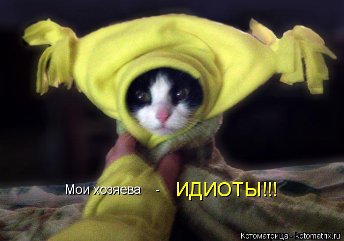 Котоматрица: ИДИОТЫ!!! Мои хозяева    -