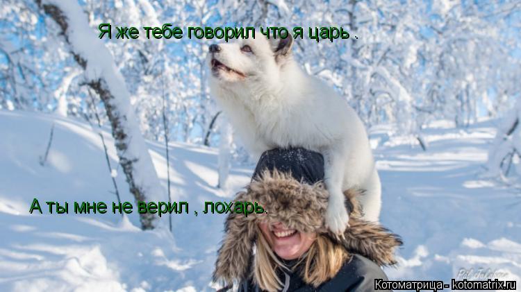 Я же тебе говорил что я царь . А ты мне не верил , лохарь.... Котоматрица: Я же тебе говорил что я царь . А ты мне не верил , лохарь.