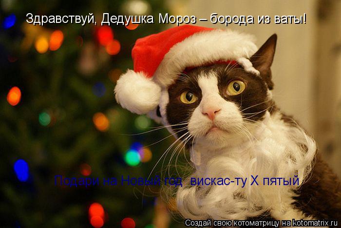 Здравствуй, Дедушка Мороз – борода из ваты! Подари на Новый год вискас-ту X пятый... Котоматрица: Здравствуй, Дедушка Мороз – борода из ваты! Подари на Новый год вискас-ту X пятый