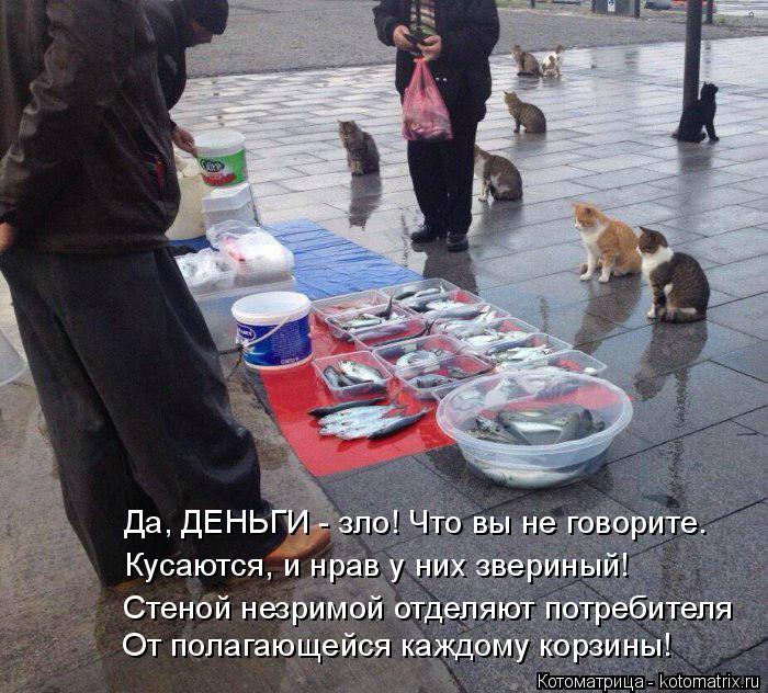 Стеной незримой отделяют потребителя От полагающейся каждому корзины! Да, ДЕНЬГИ - зло! Что вы не гов... Котоматрица: Стеной незримой отделяют потребителя От полагающейся каждому корзины! Да, ДЕНЬГИ - зло! Что вы не говорите. Кусаются, и нрав у них звериный!
