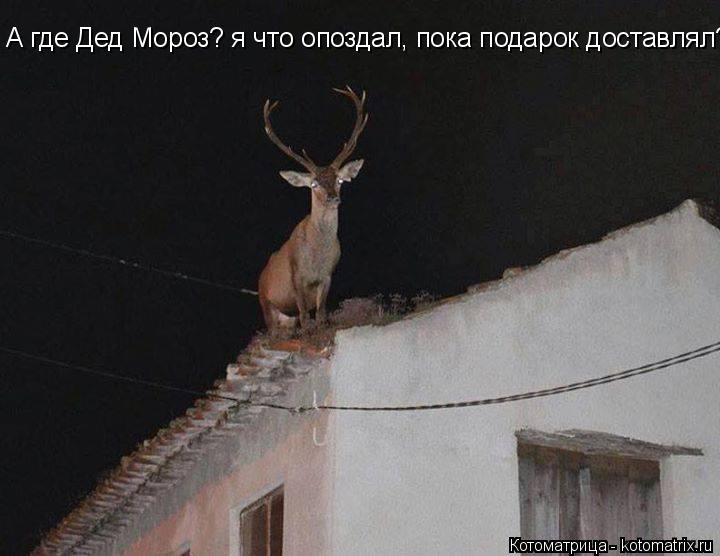 А где Дед Мороз? я что опоздал, пока подарок доставлял?... Котоматрица: А где Дед Мороз? я что опоздал, пока подарок доставлял?