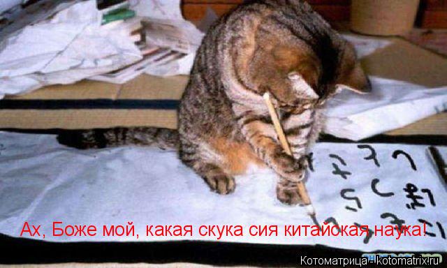 Ах, Боже мой, какая скука сия китайская наука!... Котоматрица: Ах, Боже мой, какая скука сия китайская наука!