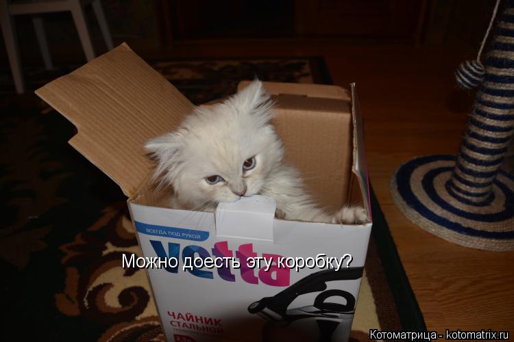 Можно доесть эту коробку?... Котоматрица: Можно доесть эту коробку?