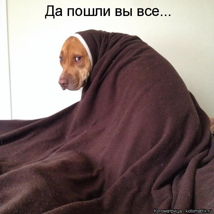 Да пошли вы все...... Котоматрица: Да пошли вы все...