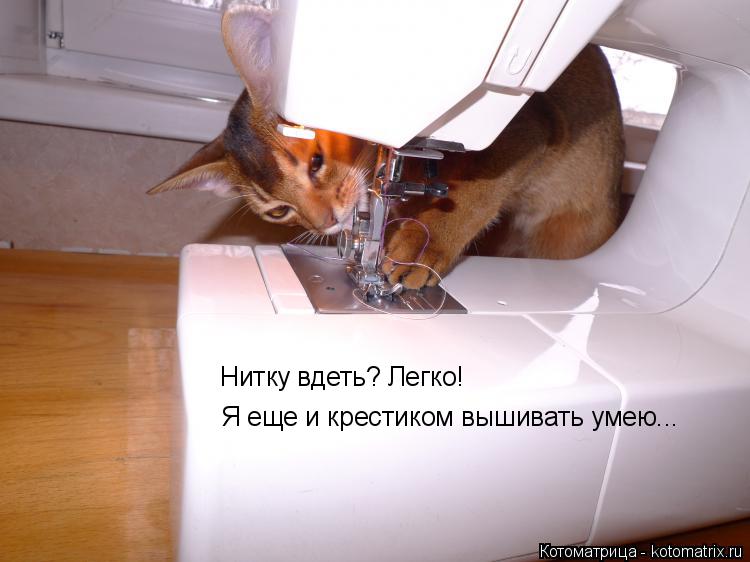 Нитку вдеть? Легко! Я еще и крестиком вышивать умею...... Котоматрица: Нитку вдеть? Легко! Я еще и крестиком вышивать умею...