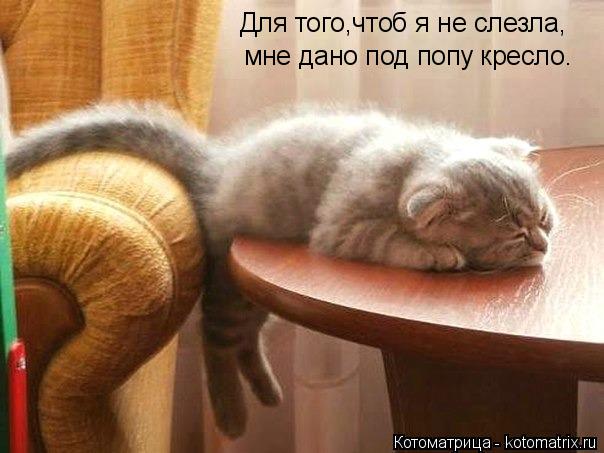 Для того,чтоб я не слезла, мне дано под попу кресло.... Котоматрица: Для того,чтоб я не слезла, мне дано под попу кресло.