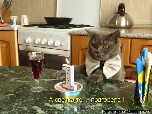 Котоматрица: - А свечка то ... подгорела !