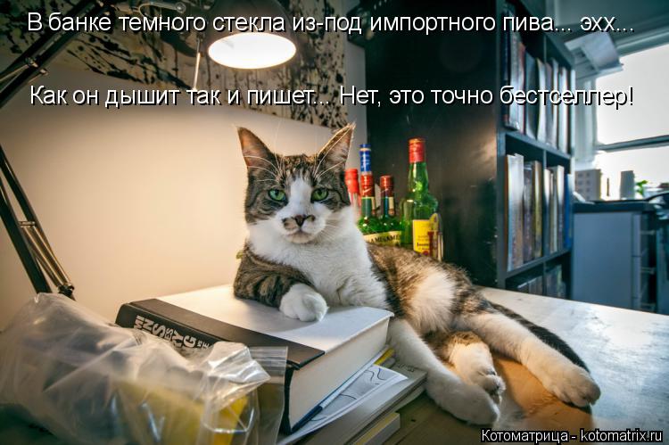 В банке темного стекла из-под импортного пива... эхх... Как он дышит так и пишет... Нет, это точно бе... Котоматрица: В банке темного стекла из-под импортного пива... эхх... Как он дышит так и пишет... Нет, это точно бестселлер!