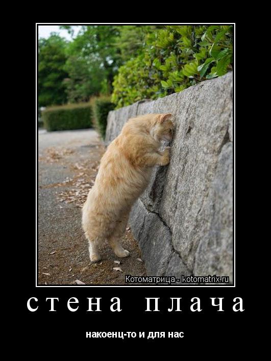стена плача накоенц-то и для нас... Котоматрица: стена плача накоенц-то и для нас