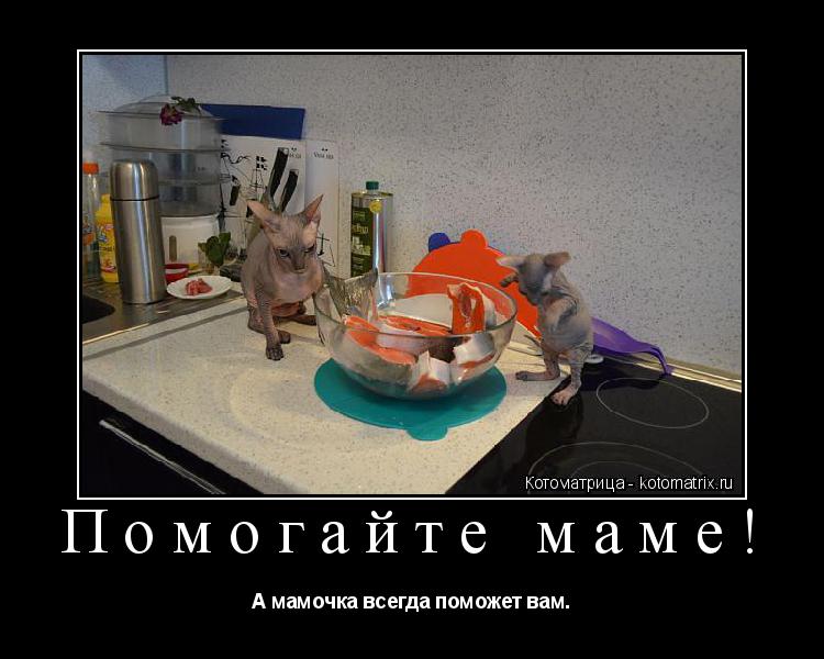 Помогайте маме! А мамочка всегда поможет вам.... Котоматрица: Помогайте маме! А мамочка всегда поможет вам.