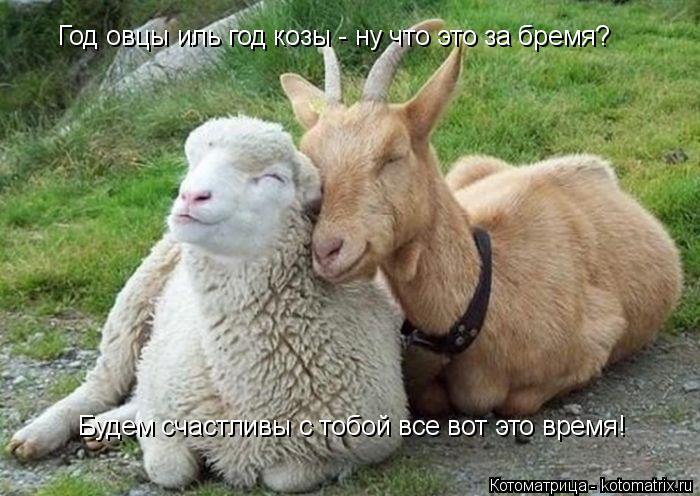 Котоматрица: Год овцы иль год козы - ну что это за бремя? Будем счастливы с тобой все вот это время!