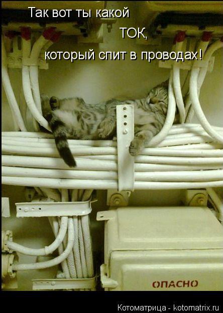 Котоматрица: Так вот ты какой ТОК, который спит в проводах!