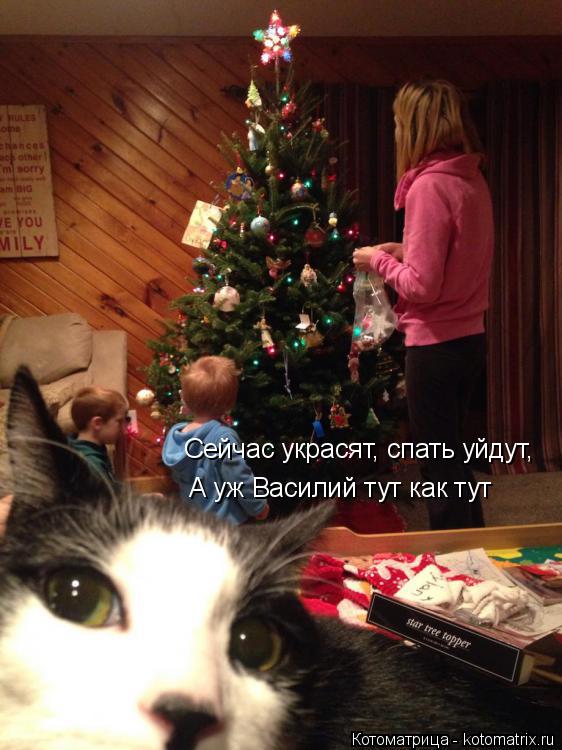 Котоматрица: Сейчас украсят, спать уйдут, А уж Василий тут как тут