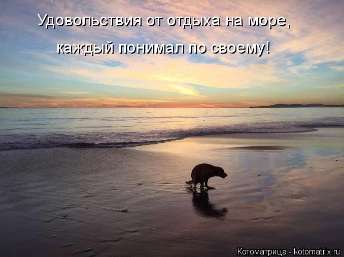Котоматрица: Удовольствия от отдыха на море, каждый понимал по своему!