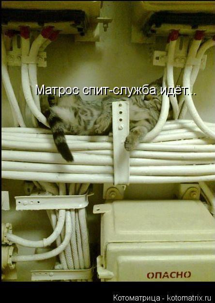 Котоматрица: Матрос спит-служба идёт...