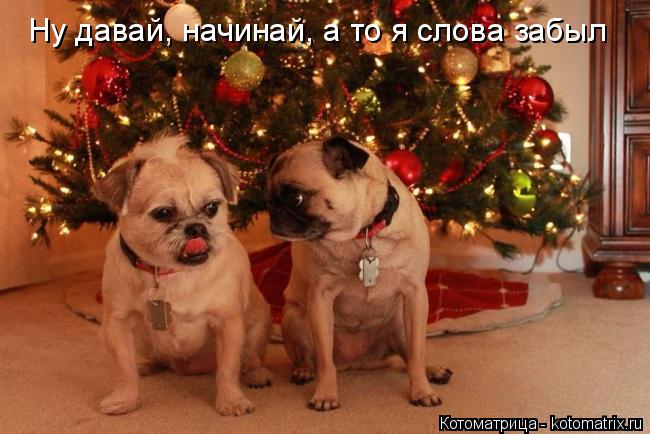 Котоматрица: Ну давай, начинай, а то я слова забыл