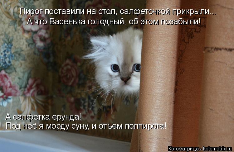 Пирог поставили на стол, салфеточкой прикрыли... А что Васенька голодный, об этом позабыли! Под неё я... Котоматрица: Пирог поставили на стол, салфеточкой прикрыли... А что Васенька голодный, об этом позабыли! Под неё я морду суну, и отъем полпирога! А салфетк