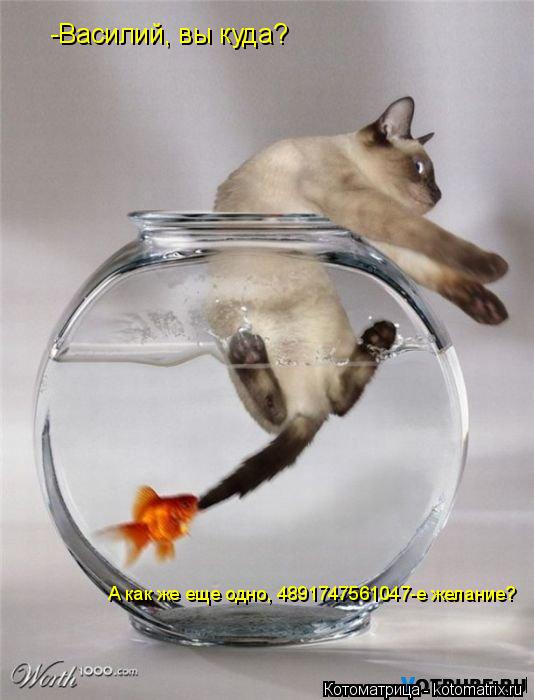 -Василий, вы куда? А как же еще одно, 4891747561047-е желание?... Котоматрица: -Василий, вы куда? А как же еще одно, 4891747561047-е желание?