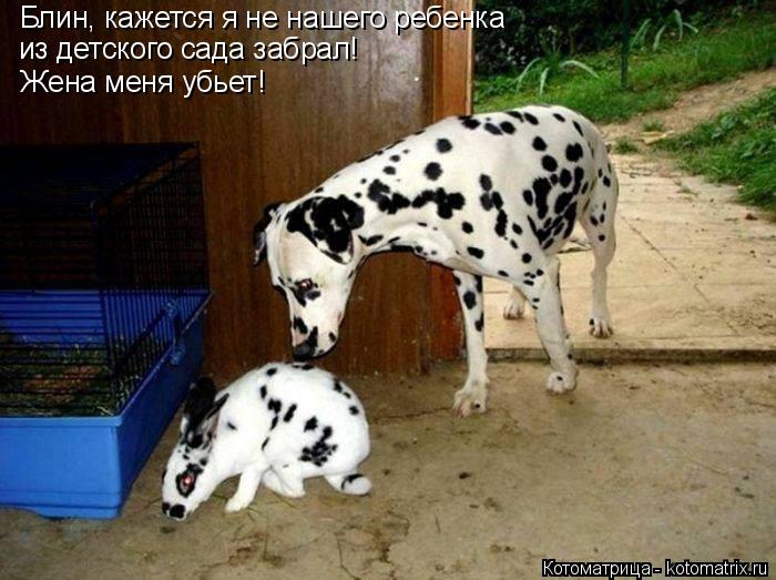 Блин, кажется я не нашего ребенка из детского сада забрал! Жена меня убьет!... Котоматрица: Блин, кажется я не нашего ребенка из детского сада забрал! Жена меня убьет!