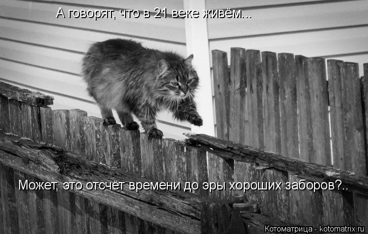 Котоматрица: А говорят, что в 21 веке живём... Может, это отсчёт времени до эры хороших заборов?..