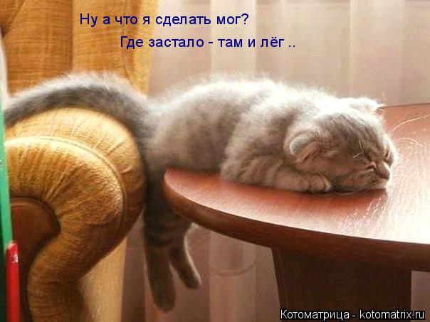 Ну а что я сделать мог? Где застало - там и лёг ..... Котоматрица: Ну а что я сделать мог? Где застало - там и лёг ..
