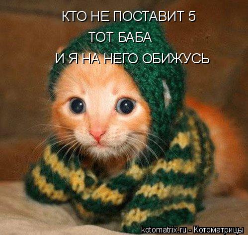 КТО НЕ ПОСТАВИТ 5 ТОТ БАБА И Я НА НЕГО ОБИЖУСЬ... Котоматрица: КТО НЕ ПОСТАВИТ 5 ТОТ БАБА И Я НА НЕГО ОБИЖУСЬ