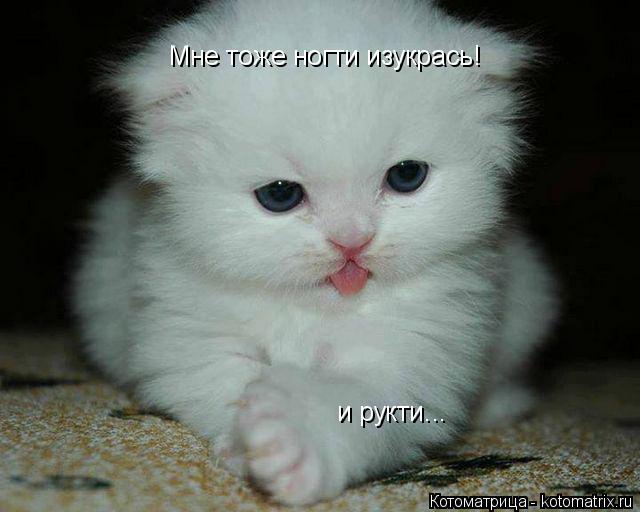 Мне тоже ногти изукрась! и рукти...... Котоматрица: Мне тоже ногти изукрась! и рукти...