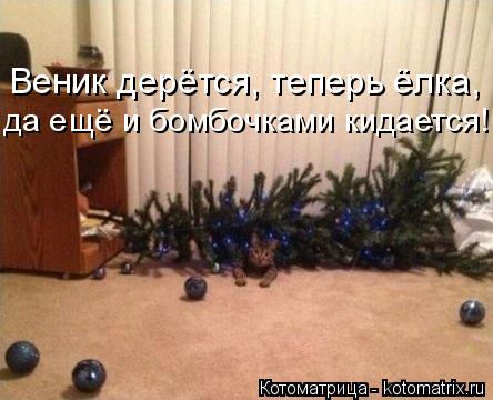 Котоматрица: Веник дерётся, теперь ёлка, да ещё и бомбочками кидается!