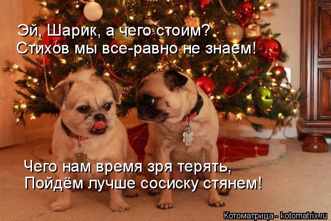 Котоматрица: Эй, Шарик, а чего стоим? Стихов мы все-равно не знаем! Чего нам время зря терять, Пойдём лучше сосиску стянем!