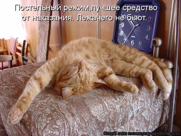 Котоматрица: Постельный режим,лучшее средство от наказания. Лежачего не бьют.