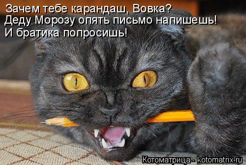 Котоматрица: Зачем тебе карандаш, Вовка? Деду Морозу опять письмо напишешь! И братика попросишь!
