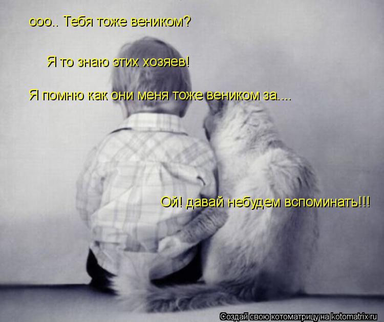 Котоматрица: ооо.. Тебя тоже веником?  Я то знаю этих хозяев! Я помню как они меня тоже веником за.... - т Ой! давай небудем вспоминать!!!