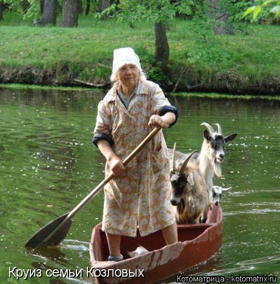 Котоматрица: Круиз семьи Козловых