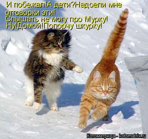Котоматрица: И побежал!А дети?Надоели мне отговорки эти! Слышать не могу про Мурку! Ну!Домой!Попорчу шкурку!