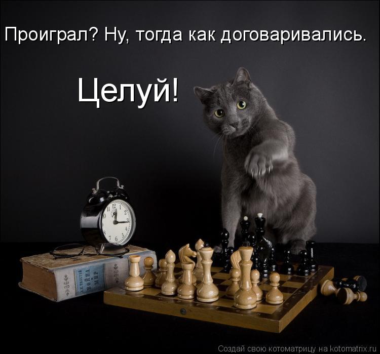 Котоматрица: Проиграл? Ну, тогда как договаривались. Целуй!