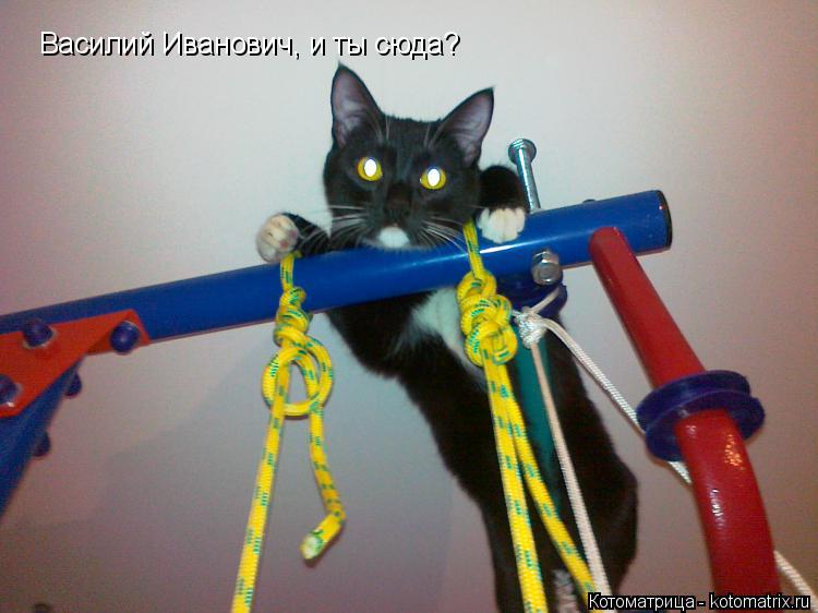 Котоматрица: Василий Иванович, и ты сюда?