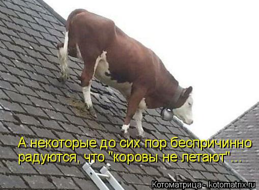 Котоматрица: А некоторые до сих пор беспричинно радуются, что "коровы не летают"…