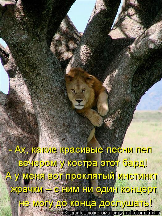 Котоматрица: - Ах, какие красивые песни пел вечером у костра этот бард!  А у меня вот проклятый инстинкт жрачки – с ним ни один концерт не могу до конца дос