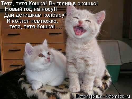 Котоматрица: Тетя, тетя Кошка! Выгляни в окошко!  Новый год на носу!!  Дай детишкам колбасу!  И котлет немножко,   тетя, тетя Кошка!....