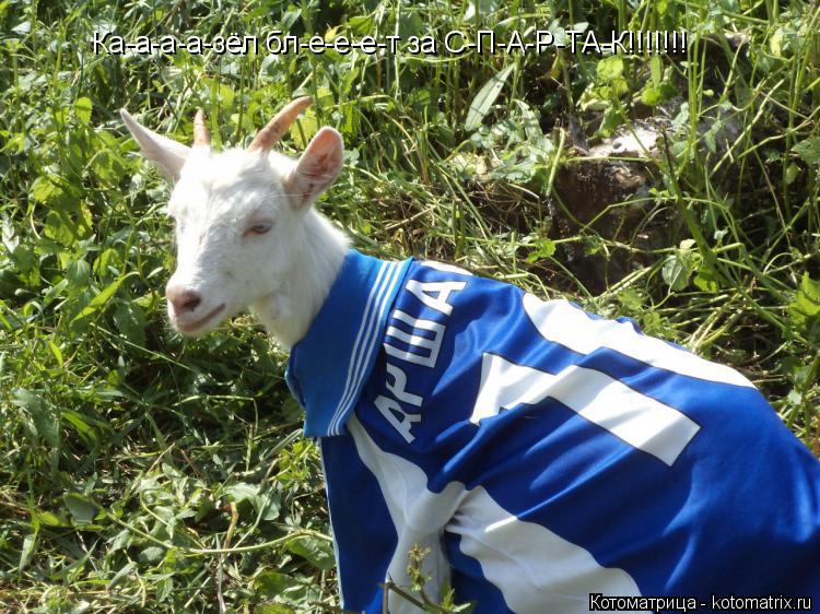 Котоматрица: Ка-а-а-а-зёл бл-е-е-е-т за С-П-А-Р-ТА-К!!!!!!!